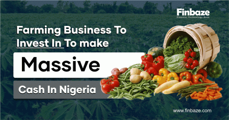 Farming Business To Invest In In Other To Make Massive Cash In Nigeria 2022, 2023, 2024, 2025